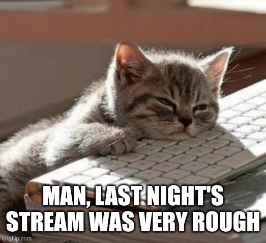 tired cat | MAN, LAST NIGHT'S STREAM WAS VERY ROUGH | image tagged in tired cat | made w/ Imgflip meme maker
