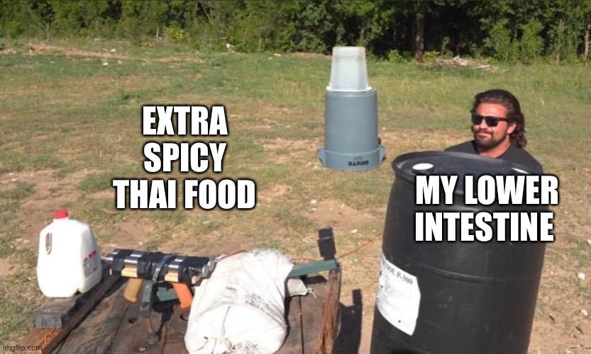 Spicy Thai food | MY LOWER INTESTINE; EXTRA SPICY THAI FOOD | image tagged in guns | made w/ Imgflip meme maker