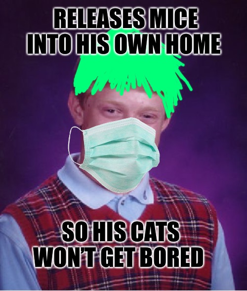Bad Luck Brian |  RELEASES MICE INTO HIS OWN HOME; SO HIS CATS WON’T GET BORED | image tagged in memes,bad luck brian,boredom,mice,cats,bad memes | made w/ Imgflip meme maker