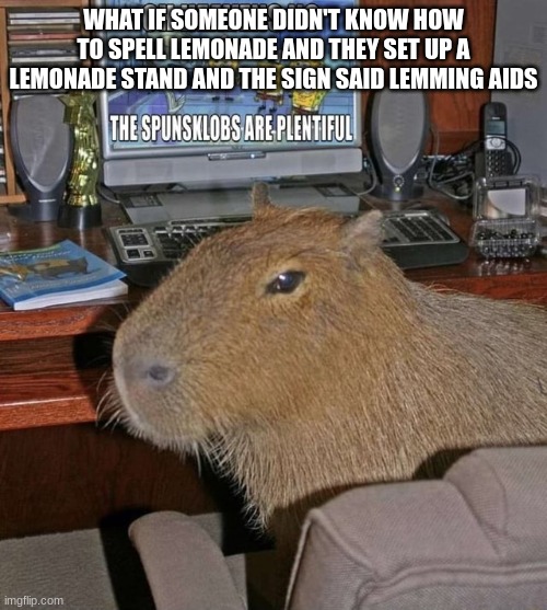 capybara watching spunsklobs | WHAT IF SOMEONE DIDN'T KNOW HOW TO SPELL LEMONADE AND THEY SET UP A LEMONADE STAND AND THE SIGN SAID LEMMING AIDS | image tagged in capybara watching spunsklobs | made w/ Imgflip meme maker