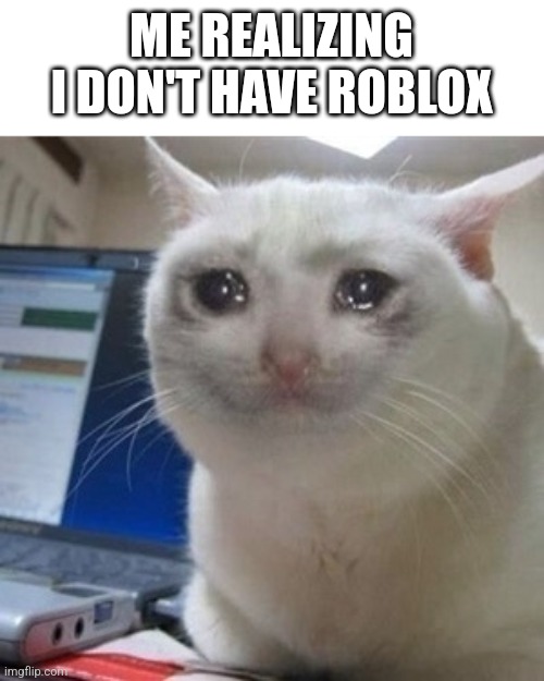 Crying cat | ME REALIZING I DON'T HAVE ROBLOX | image tagged in crying cat | made w/ Imgflip meme maker