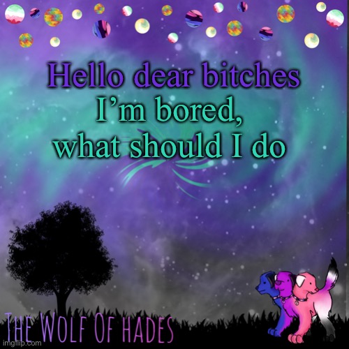 TheWolfOfHades announces crap V.694201723696969 | Hello dear bitches; I’m bored, what should I do | image tagged in thewolfofhades announces crap v 694201723696969 | made w/ Imgflip meme maker