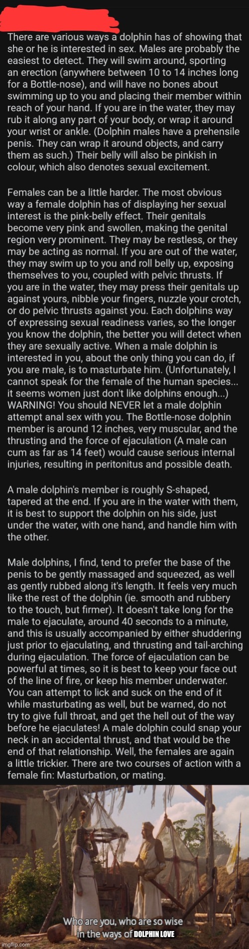 Dolphin expert | DOLPHIN LOVE | image tagged in who are you so wise in the ways of science,dolphin,wtf | made w/ Imgflip meme maker