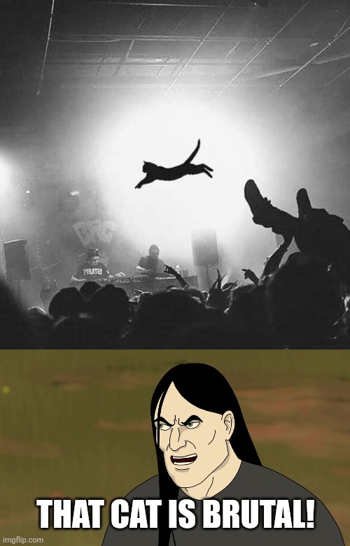 METAL CAT | THAT CAT IS BRUTAL! | image tagged in nathan explosion brutal,heavy metal,cat,metal | made w/ Imgflip meme maker