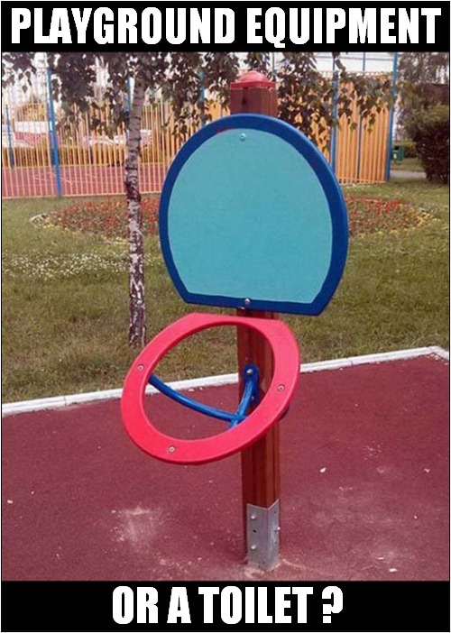 You Decide ! | PLAYGROUND EQUIPMENT; OR A TOILET ? | image tagged in playground,toilet,design fails | made w/ Imgflip meme maker
