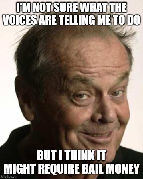 Voices | I'M NOT SURE WHAT THE VOICES ARE TELLING ME TO DO; BUT I THINK IT MIGHT REQUIRE BAIL MONEY | image tagged in voices | made w/ Imgflip meme maker