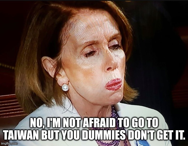 Political Theatre | NO, I'M NOT AFRAID TO GO TO TAIWAN BUT YOU DUMMIES DON'T GET IT. | image tagged in nancy pelosi pb sandwich,taiwan,china | made w/ Imgflip meme maker