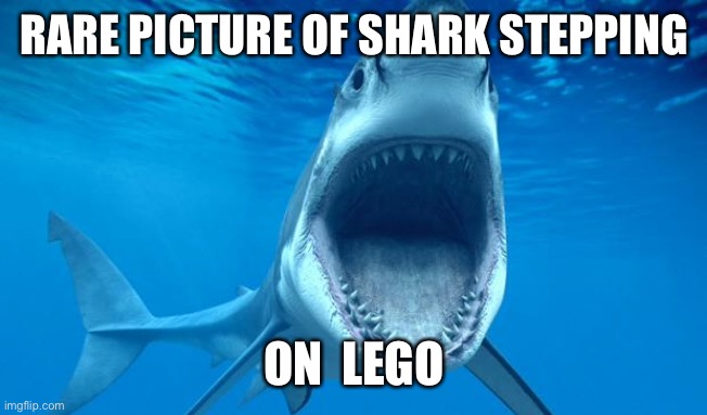 That has to hurt | RARE PICTURE OF SHARK STEPPING; ON  LEGO | image tagged in shark open mouth | made w/ Imgflip meme maker