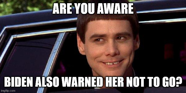 dumb and dumber | ARE YOU AWARE BIDEN ALSO WARNED HER NOT TO GO? | image tagged in dumb and dumber | made w/ Imgflip meme maker