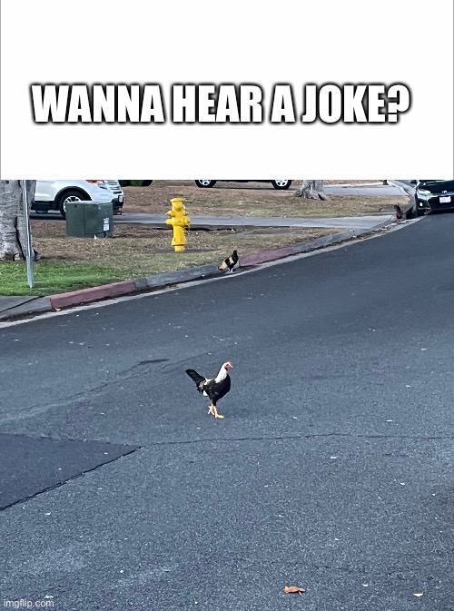 Wanna hear a joke? | WANNA HEAR A JOKE? | image tagged in why did the chicken cross the road | made w/ Imgflip meme maker
