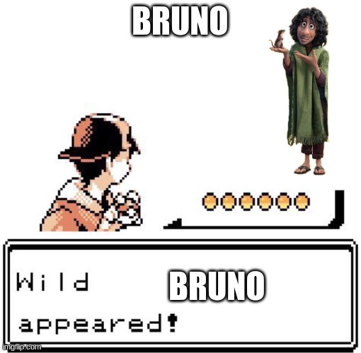 bruno and rats | BRUNO; BRUNO | image tagged in blank wild pokemon appears | made w/ Imgflip meme maker