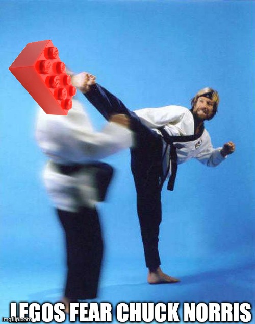 Roundhouse Kick Chuck Norris | LEGOS FEAR CHUCK NORRIS | image tagged in roundhouse kick chuck norris | made w/ Imgflip meme maker