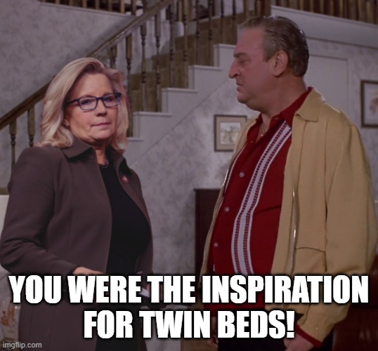 Liz be friends. | YOU WERE THE INSPIRATION
FOR TWIN BEDS! | image tagged in liz cheney,easy money,memes,rodney dangerfield | made w/ Imgflip meme maker