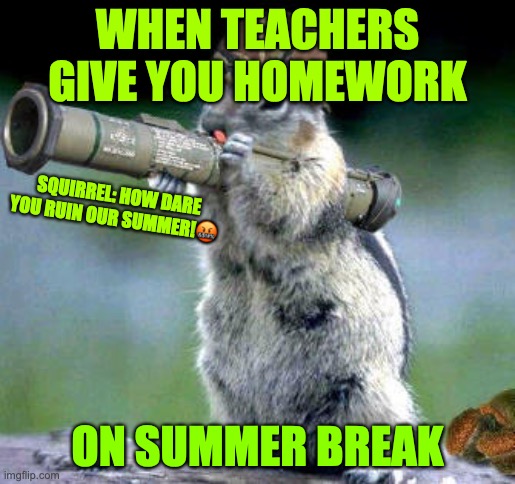 We had these teachers at least once |  WHEN TEACHERS GIVE YOU HOMEWORK; SQUIRREL: HOW DARE YOU RUIN OUR SUMMER!🤬; ON SUMMER BREAK | image tagged in memes,bazooka squirrel,relatable memes,homework,summer vacation,school | made w/ Imgflip meme maker
