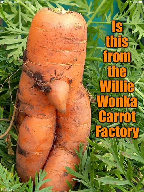 Wonky Carrot |  Is this from the Willie Wonka Carrot Factory | image tagged in wonky carrot,is this from,willie wonka,carrot,factory,fun | made w/ Imgflip meme maker