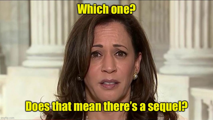 kamala harris | Which one? Does that mean there’s a sequel? | image tagged in kamala harris | made w/ Imgflip meme maker
