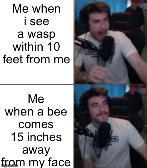 M | Me when i see a wasp within 10 feet from me; Me when a bee comes 15 inches away from my face | image tagged in dougdoug scared/calm | made w/ Imgflip meme maker