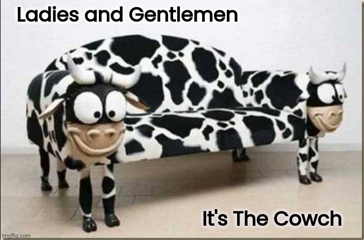 Moooove over | Ladies and Gentlemen; It's The Cowch | image tagged in sit down,relax,comfort,fluffy | made w/ Imgflip meme maker