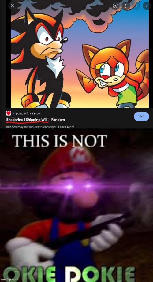 WHO THE HECK THOUGHT THIS WAS A GOOD SHIP | image tagged in this is not okie dokie,shadow the hedgehog | made w/ Imgflip meme maker