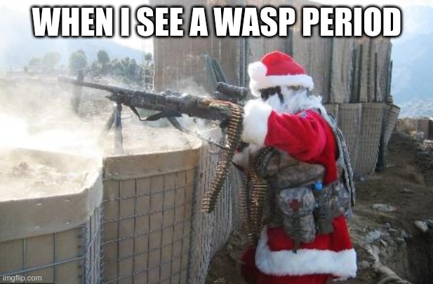 Hohoho Meme | WHEN I SEE A WASP PERIOD | image tagged in memes,hohoho | made w/ Imgflip meme maker
