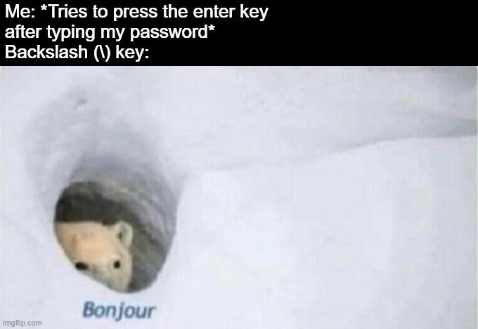 \ | Me: *Tries to press the enter key
after typing my password*
Backslash (\) key: | image tagged in bonjour bear,bonjour,relatable | made w/ Imgflip meme maker