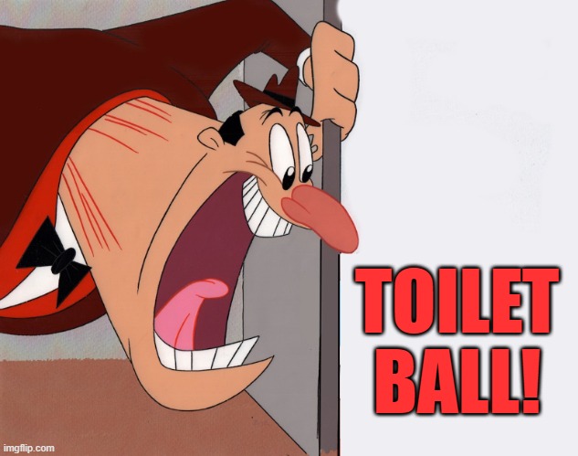 yelling guy | TOILET BALL! | image tagged in yelling guy | made w/ Imgflip meme maker
