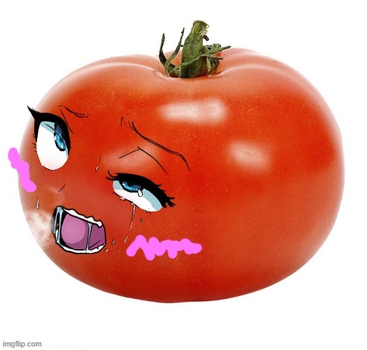 tomatussy | image tagged in tomatussy | made w/ Imgflip meme maker