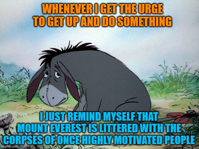 How about NO | WHENEVER I GET THE URGE TO GET UP AND DO SOMETHING; I JUST REMIND MYSELF THAT MOUNT EVEREST IS LITTERED WITH THE CORPSES OF ONCE HIGHLY MOTIVATED PEOPLE | image tagged in eyore,motivation,nope,mount everest,cmon do something,memes | made w/ Imgflip meme maker