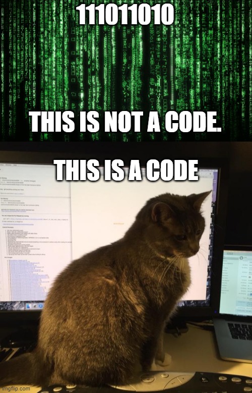 Not a code | 111011010; THIS IS NOT A CODE. THIS IS A CODE | image tagged in matrix code,code review cat | made w/ Imgflip meme maker