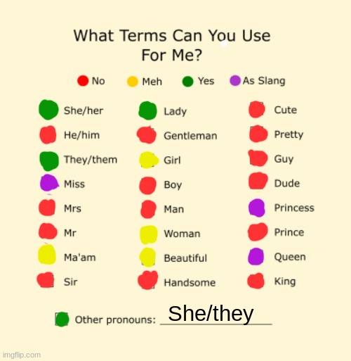 Pronouns | She/they | image tagged in pronouns sheet | made w/ Imgflip meme maker