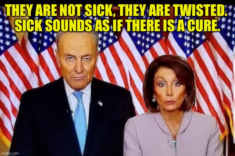 Sick or twisted | THEY ARE NOT SICK, THEY ARE TWISTED. 
SICK SOUNDS AS IF THERE IS A CURE. | image tagged in chuck and nancy,sick or twisted,sick,sounds as if,there is cure | made w/ Imgflip meme maker
