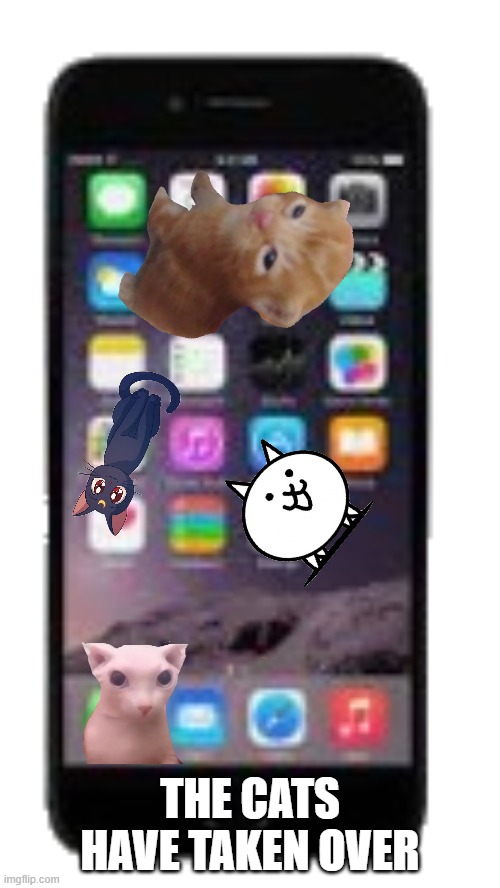 E | THE CATS HAVE TAKEN OVER | image tagged in phone | made w/ Imgflip meme maker
