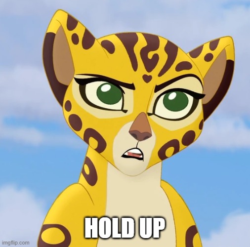 Confused Fuli | HOLD UP | image tagged in confused fuli | made w/ Imgflip meme maker