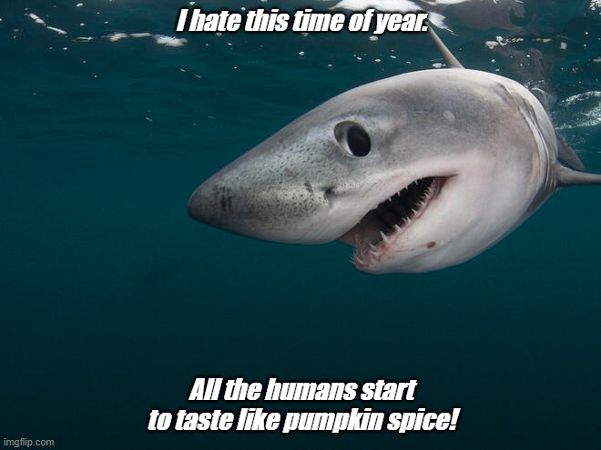 Shark Sayings | I hate this time of year. All the humans start to taste like pumpkin spice! | image tagged in shark,humans,pumpkin spice,joke meme,funny | made w/ Imgflip meme maker
