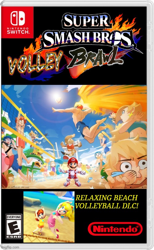 SMASH BROS VOLLEY BALL | RELAXING BEACH VOLLEYBALL DLC! | image tagged in nintendo switch,super smash bros,volleyball,super mario bros,smash bros,fake switch games | made w/ Imgflip meme maker