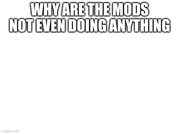 (Edit: I've became one of the owners as they weren't moderating for more than 60 days) | WHY ARE THE MODS NOT EVEN DOING ANYTHING | image tagged in blank white template | made w/ Imgflip meme maker