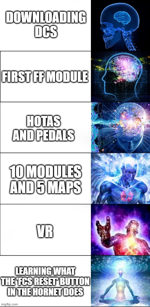 Expanding brain | DOWNLOADING DCS; FIRST FF MODULE; HOTAS AND PEDALS; 10 MODULES AND 5 MAPS; VR; LEARNING WHAT THE 'FCS RESET' BUTTON IN THE HORNET DOES | image tagged in expanding brain,floggit | made w/ Imgflip meme maker