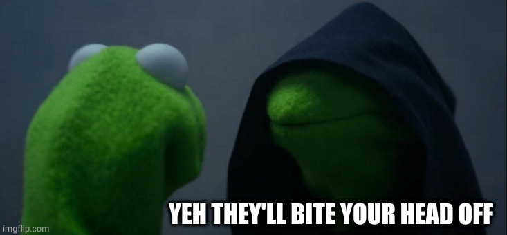Evil Kermit Meme | YEH THEY'LL BITE YOUR HEAD OFF | image tagged in memes,evil kermit | made w/ Imgflip meme maker