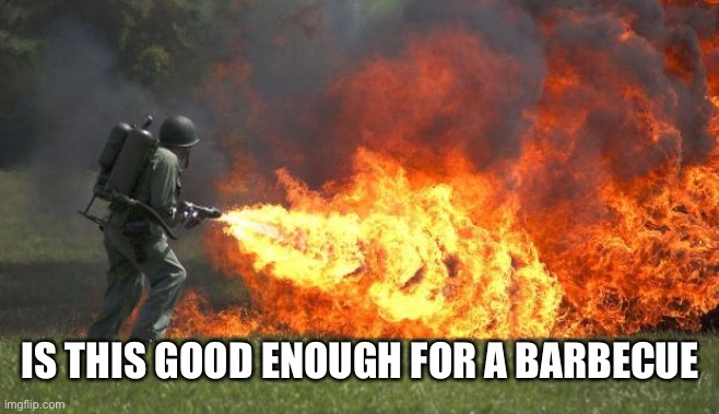 flamethrower | IS THIS GOOD ENOUGH FOR A BARBECUE | image tagged in flamethrower | made w/ Imgflip meme maker