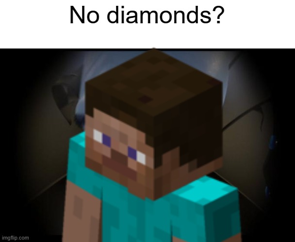 *insert title here* |  No diamonds? | image tagged in no b es | made w/ Imgflip meme maker