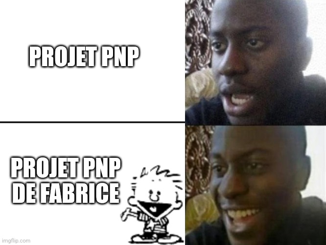 Reversed Disappointed Black Man | PROJET PNP; PROJET PNP
DE FABRICE | image tagged in reversed disappointed black man | made w/ Imgflip meme maker
