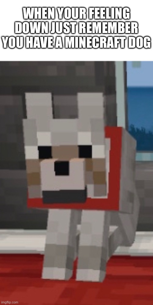 WHEN YOUR FEELING DOWN JUST REMEMBER YOU HAVE A MINECRAFT DOG | image tagged in minecraft dog | made w/ Imgflip meme maker