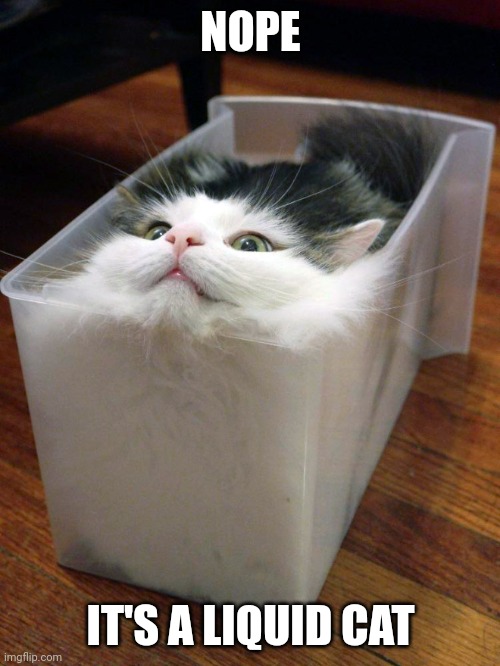 Liquid Cat | NOPE IT'S A LIQUID CAT | image tagged in liquid cat | made w/ Imgflip meme maker