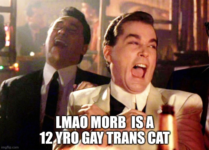 Good Fellas Hilarious | LMAO MORB  IS A 12 YRO GAY TRANS CAT | image tagged in memes,good fellas hilarious | made w/ Imgflip meme maker