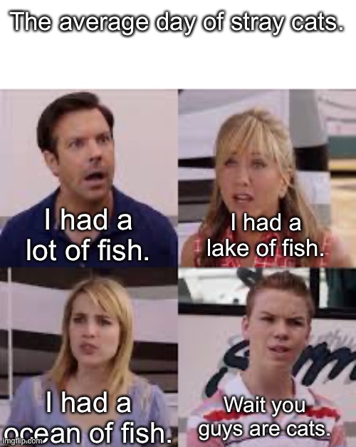 Confusion | The average day of stray cats. I had a lake of fish. I had a lot of fish. Wait you guys are cats. I had a ocean of fish. | image tagged in wait you guys are getting paid,stray cats,cats and dogs,memes,funny,funny memes | made w/ Imgflip meme maker