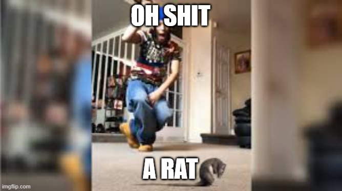 Ah sh*t, a rat | OH SHIT A RAT | image tagged in ah sh t a rat | made w/ Imgflip meme maker