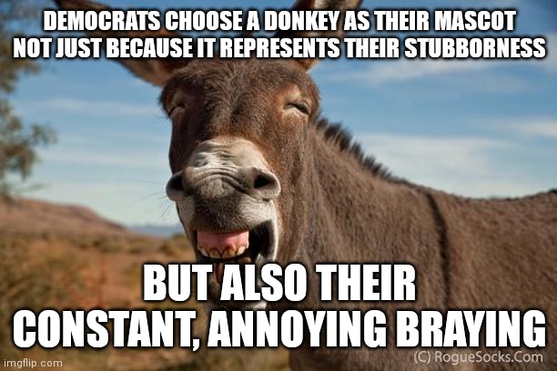 Donkey Jackass Braying | DEMOCRATS CHOOSE A DONKEY AS THEIR MASCOT NOT JUST BECAUSE IT REPRESENTS THEIR STUBBORNESS BUT ALSO THEIR CONSTANT, ANNOYING BRAYING | image tagged in donkey jackass braying | made w/ Imgflip meme maker