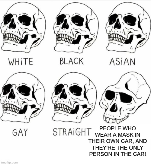Over Protection |  PEOPLE WHO WEAR A MASK IN THEIR OWN CAR, AND THEY'RE THE ONLY PERSON IN THE CAR! | image tagged in skull comparison,memes,so true memes,covid,masks,lol | made w/ Imgflip meme maker