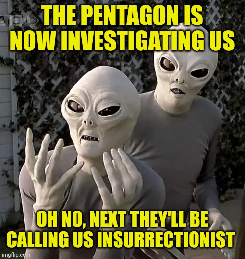 Aliens | THE PENTAGON IS NOW INVESTIGATING US OH NO, NEXT THEY'LL BE CALLING US INSURRECTIONIST | image tagged in aliens | made w/ Imgflip meme maker