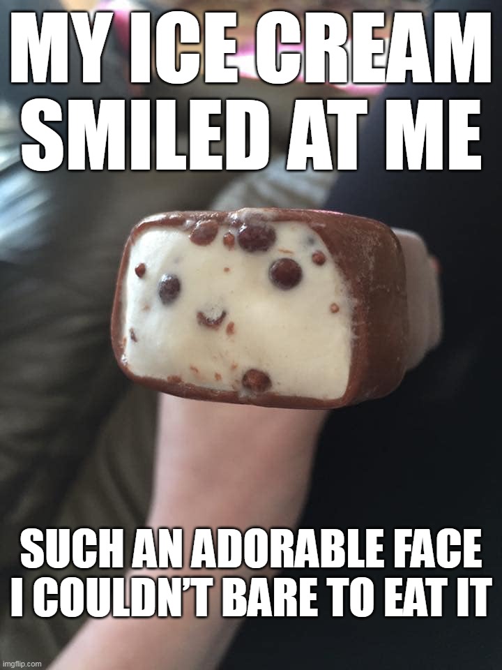 He Wants to Be Murdered and Rest in Pieces | MY ICE CREAM SMILED AT ME; SUCH AN ADORABLE FACE I COULDN’T BARE TO EAT IT | image tagged in meme,memes,humor | made w/ Imgflip meme maker